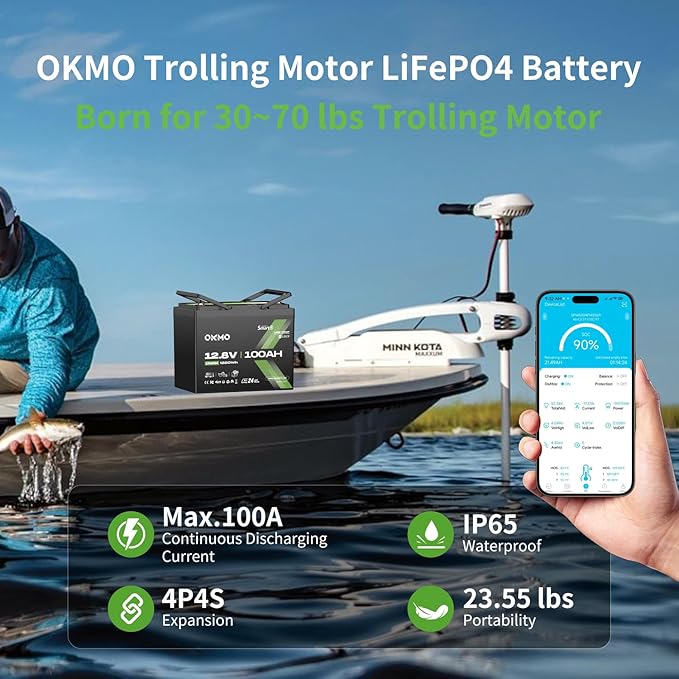 12V 100Ah LiFePO4 Battery with Bluetooth, BCI Group 24, Built-in 100A BMS - Image 3