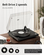 ANGELS HORN High Fidelity Vinyl Record Player, 2 Speed Belt Drive, Built-in - Image 2
