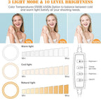 8 inch Desk Ring Light with Stand, Adjustable Computer Circle Light - Image 6