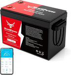 12V 300Ah Golf Cart Lithium LiFePO4 Battery by NewtiPower