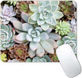 Cute Succulents Mouse Pad, Natural Plants Mousepad by CANFLASHION