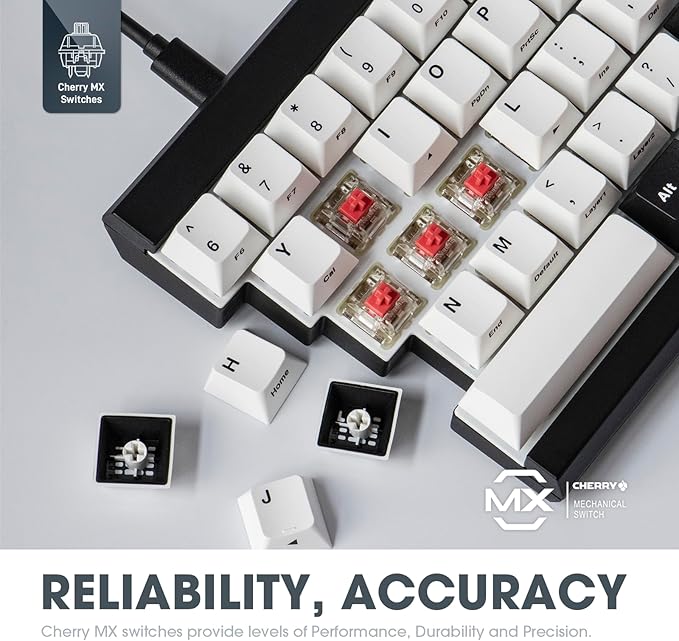 MD600 V3 RGB ORCA TKL Ergonomic Mechanical Keyboard, Cherry MX, Split Layout - Image 5