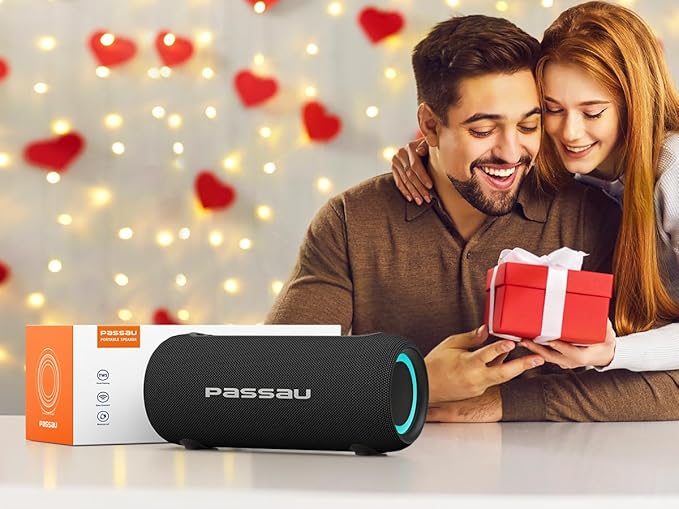 Passau Portable Bluetooth Speakers Loud 40W Peak Stereo Sound, Passive - Image 9