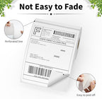 FungLam 6 Rolls 4"x6" Thermal Shipping Labels, 250 Labels/6 Roll, Perforated - Image 3