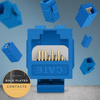 Everest Cat6 RJ45 Keystone Coupler in Blue - Image 5