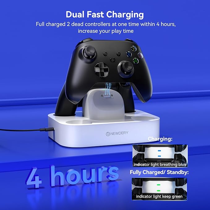 NEWDERY Controller Charger Station - Image 3