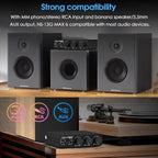 Douk Audio NS-13G MAX 300Wx2 Stereo Amplifier - Image 3