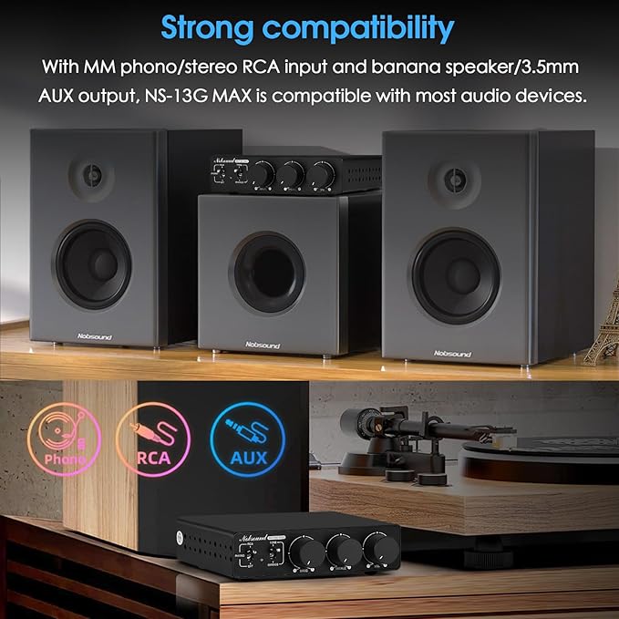 Douk Audio NS-13G MAX 300Wx2 Stereo Amplifier - Image 3