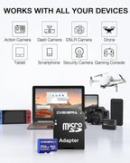 256GB LT100 microSDXC UHS-I Memory Card - Image 3