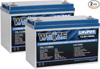 WEIZE 12V 100Ah LiFePO4 Battery Group 31 Lithium Battery, Built-in 100A BMS by WEIZE