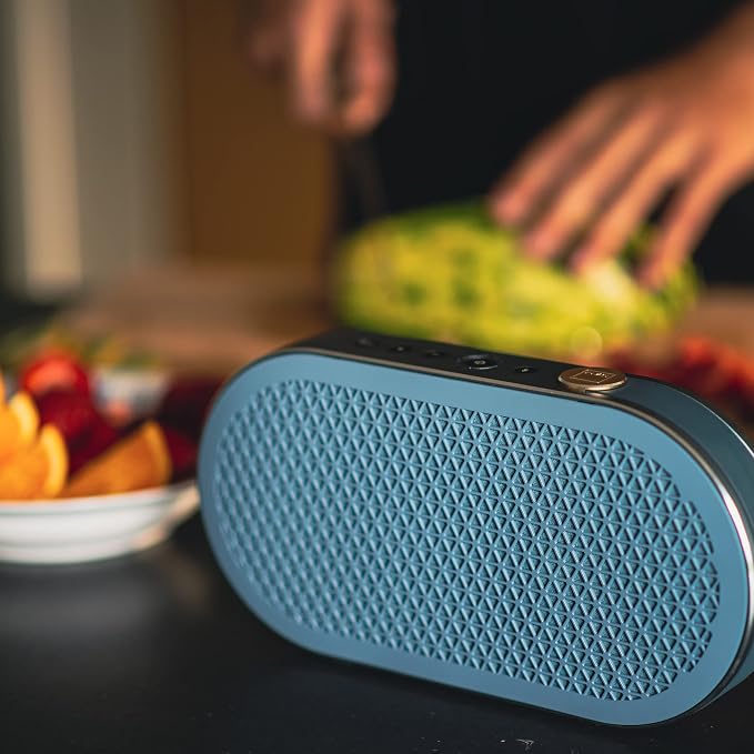 DALI Katch G2 Portable Bluetooth Speaker - Image 7