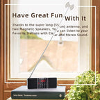 PRUNUS J-288 Portable Radio AM FM Radio - Image 3