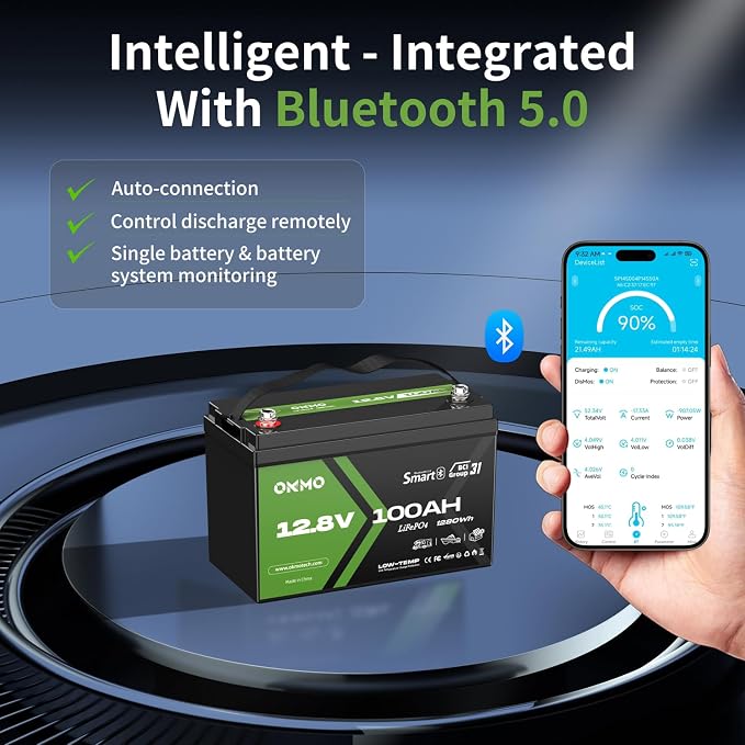 12V 100Ah LiFePO4 Lithium Battery - Image 2