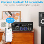 Romica Stereo Audio Amplifier, 2 Channel 450W x2 Bluetooth 5.0 Home Theater - Image 4