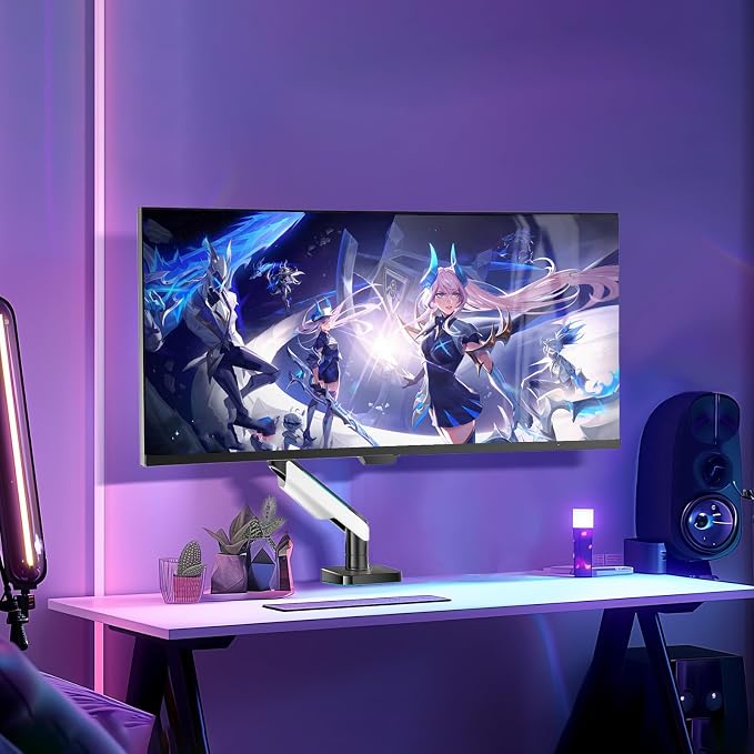 WALI Heavy Duty Monitor Arm, Monitor Stand - Image 7