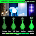 SUNLU PETG Glow in The Dark Filament Bundle, Luminous PETG 3D Printer Filament - Image 3