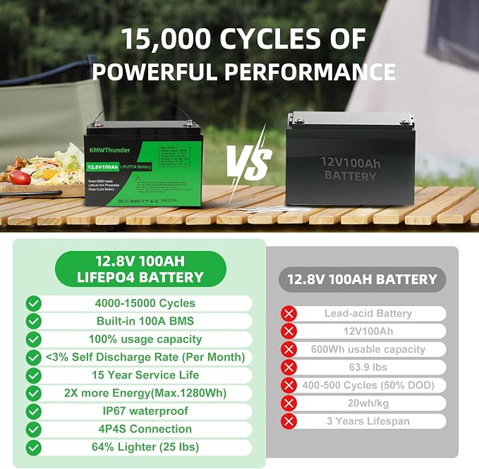 12V 100Ah LiFePO4 Lithium Battery, Built-in Smart BMS, Low Temperature - Image 4
