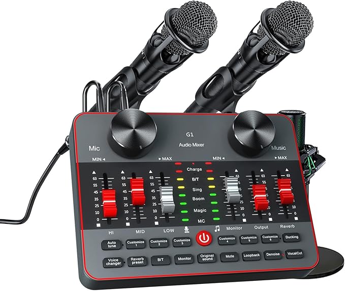 Podcast Equipment Bundle for 2 Mic Tiktok Video Content Creator Kit, Audio by neculogy