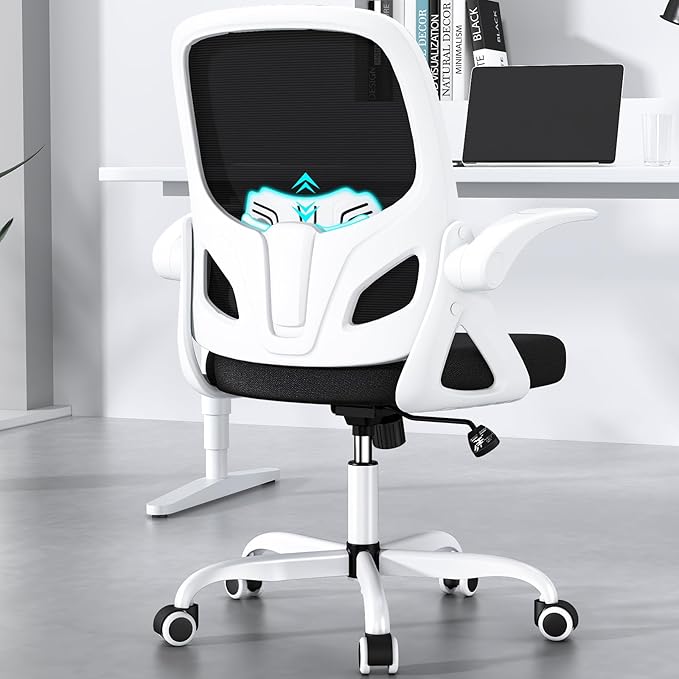 Home Desk Chair with Back Supportive Lumbar Support, Breathable Double Mesh by Kensaker