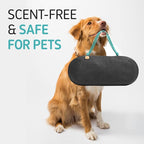 Car Air Freshener - Image 4