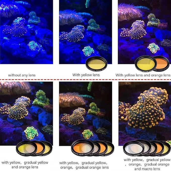 Reef Coral Lens for Phone, Smartphone Camera Reef Lens, 11 Kits in a Whole - Image 5