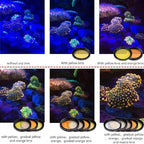 Reef Coral Lens for Phone, Smartphone Camera Reef Lens, 11 Kits in a Whole - Image 5