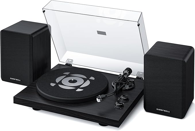 SoulBox S1 Vinyl Record Player by QLEARSOUL