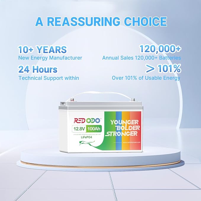 Redodo 12V 100Ah LiFePO4 Battery, 12 Volt lithium batteries - Image 2