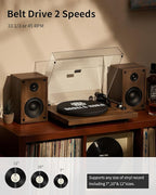 ANGELS HORN Vinyl Record Player, Hi-Fi System Bluetooth Turntable Players - Image 2