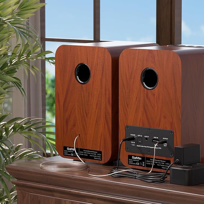 Saiyin Bluetooth Bookshelf Speakers - Image 3