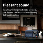 Choyong A8W Internet Radio Portable Smart Receiver WIFI/4G Global Version Radio - Image 6