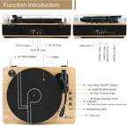 Vinyl Record Player 3-Speed Belt-Drive Turntable - Image 2
