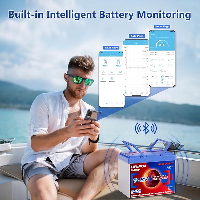 12V 100Ah Lifepo4 Battery, Bci Group 24, Built-In 100A Smart BMS, 4500 To 15000 - Image 2