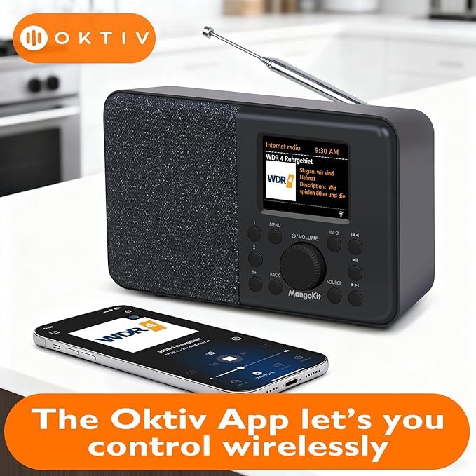 SR10 WiFi Internet Radio, Podcast Player, Portable FM Radio, Color Display - Image 4
