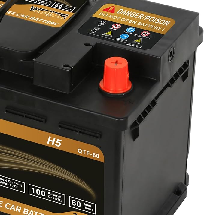 Weize Platinum AGM Battery BCI Group 47-12v 60ah H5 Size 47 Automotive Battery - Image 4