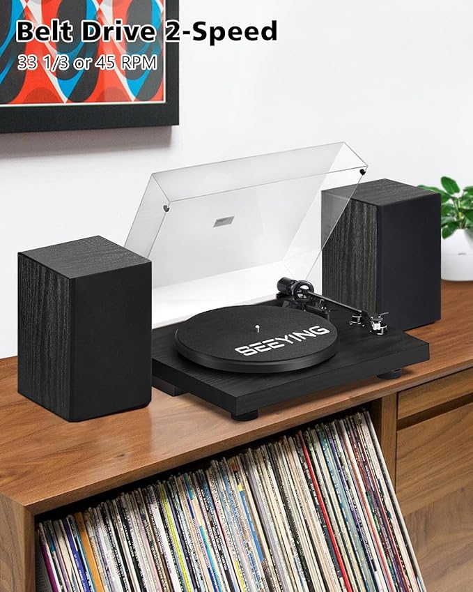 Record Player Vinyl Bluetooth Turntable - Image 6