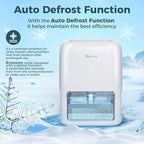 BREEZOME 60 OZ Dehumidifiers for Home, Dual-Semiconductor Quiet Dehumidifier - Image 6