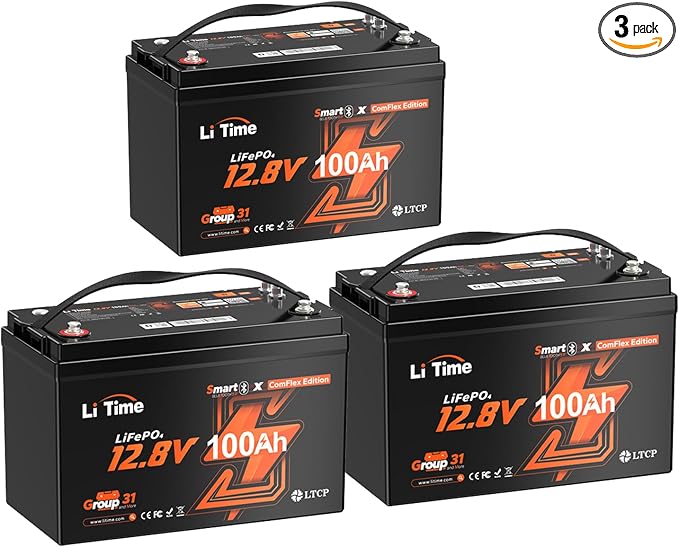 LiTime 12V 100Ah LiFePO4 Group 31 Battery, Compatible by LiTime