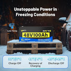48 Volt Golf Cart Batterys 200A BMS, 48V 100Ah LiFePO4 Lithium Battery - Image 6