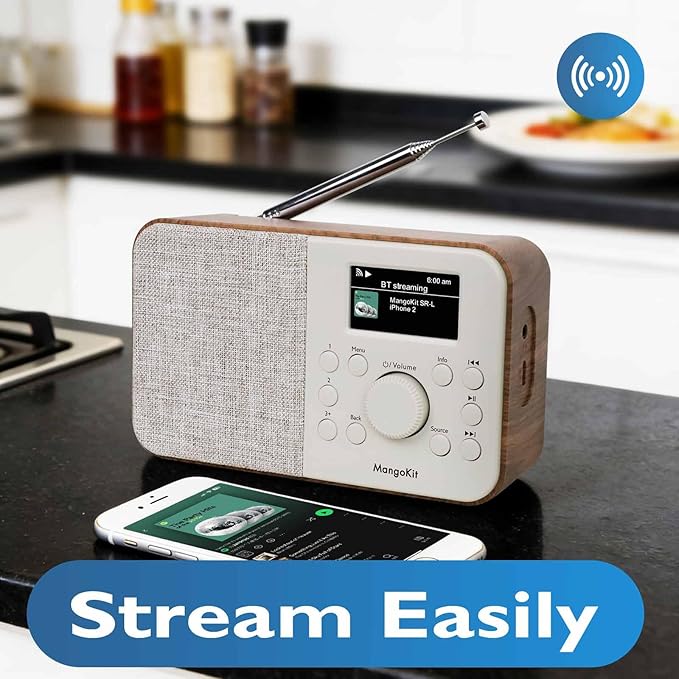 SR-L WiFi Internet Radio, Podcast Player, 150 Presets, Portable FM Radio - Image 3