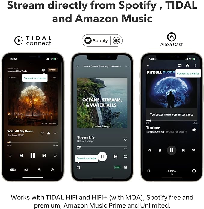 WiiM Pro AirPlay 2 Receiver, Google Cast Audio, WiFi Multiroom Streamer - Image 8
