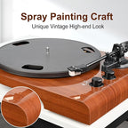 Vinyl Record Player with Bluetooth Input Output, Turntable with Built-in Preamp - Image 7
