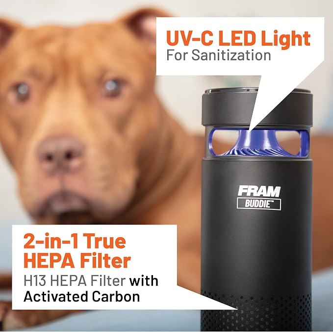FRAM Buddie HEPA Air Purifier H13 Filtration & UV-C LED Sanitization, - Image 6