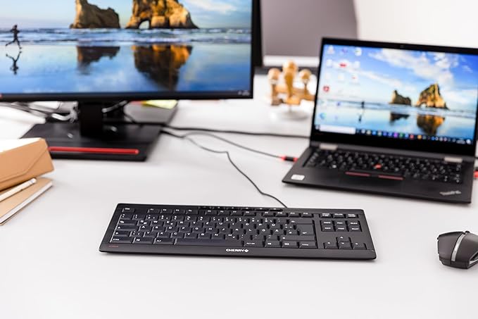 Cherry Stream Keyboard TKL Wired USB Keyboard TenKeyLess Compact Version - Image 6