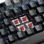 MageGee 75% Mechanical Gaming Keyboard, LED Blue Backlit, 87 Keys Compact TKL - Image 2