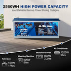 WEIZE 24V 100AH Bluetooth LiFePO4 Lithium Battery, Grade A Cells, 150A BMS - Image 4