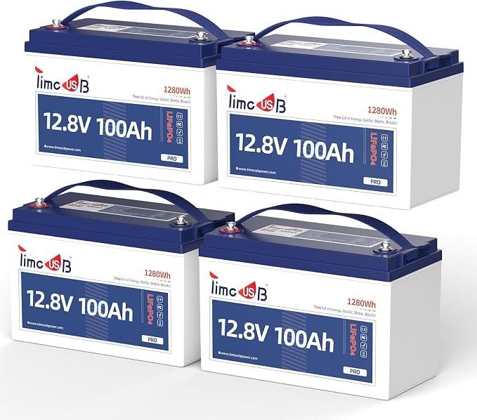 12V 100Ah Pro LiFePO4 Battery, Grade A Battery Cells, 4 Pack Group 31 Deep by Timeusb