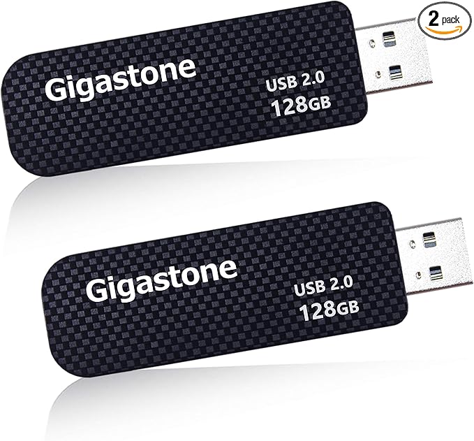 GIGASTONE V30 128GB USB 2.0 Flash Drive 2-Pack, Capless Retractable Design Pen by Gigastone