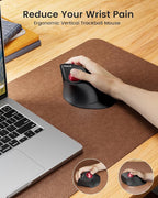 ProtoArc Vertical Wireless Trackball Mouse, EM05 NL Bluetooth Ergonomic - Image 2
