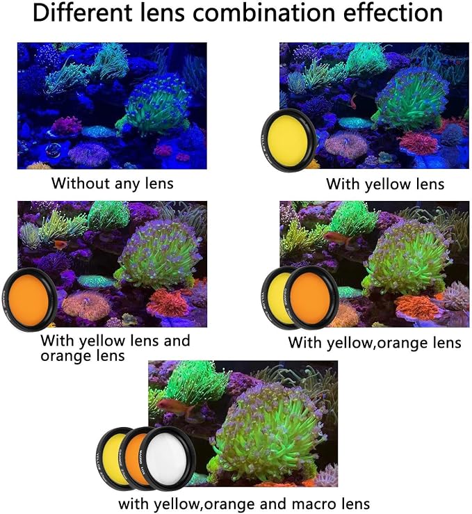 Reef Coral Lens Phone Kits for Phone 7 Lenses Kit 1 Dust Shield Case 2 Lens - Image 6